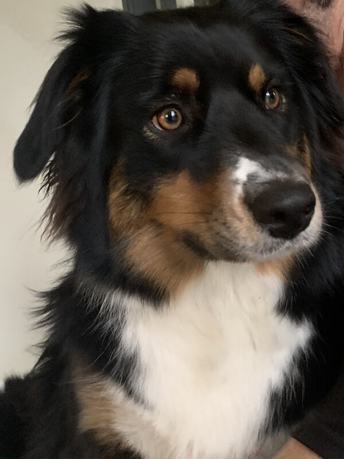 Gezinstherapie en Partnerrelatietherapie Aalten Gezinstherapie en Partnerrelatietherapie Aalten