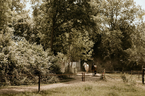 Relatietherapie Bathmen Relatietherapie Bathmen