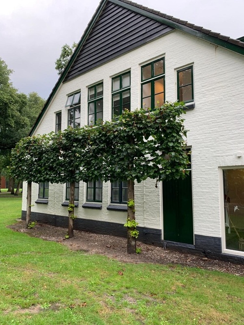 Relatietherapie Driebergen Relatietherapie Driebergen